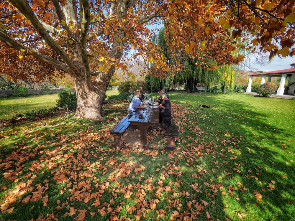 Ganora Guest Farm, Camping And Excursions Nieu-Bethesda Exterior foto